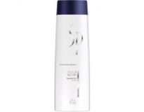  System Professional -  Шампунь для светлых оттенков волос Silver Shampoo (250 )